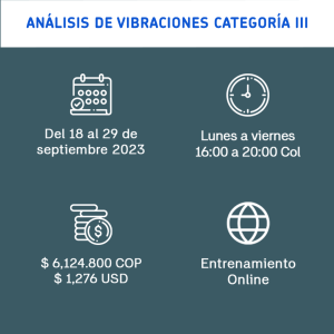 Análisis de vibraciones – Categoría III